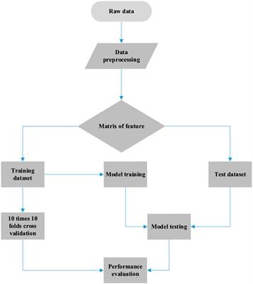 Predicting Cancer Tissue-of-Origin by a Machine Learning Method Using DNA Somatic Mutation Data